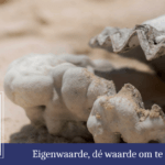 waarden