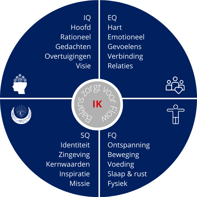 4 dimensies: IQ, EQ, FQ en SQ